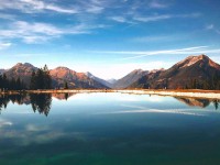 蜜桃视频想转发前：先看导语先定调了吗，再把剪辑按时间线重排