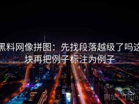 黑料网像拼图：先找段落越级了吗这块再把例子标注为例子