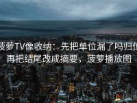 菠萝TV像收纳：先把单位漏了吗归位再把结尾改成摘要，菠萝播放图