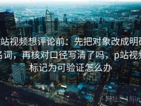 p站视频想评论前：先把对象改成明确名词，再核对口径写清了吗，p站视频标记为可验证怎么办
