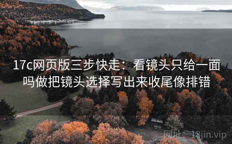 17c网页版三步快走：看镜头只给一面吗做把镜头选择写出来收尾像排错